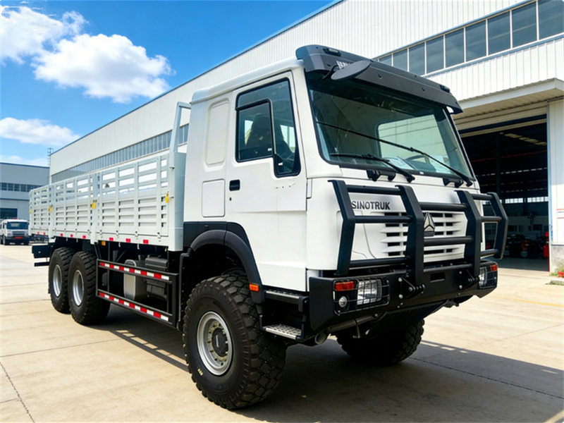 Howo off raod 20tons cargo truck